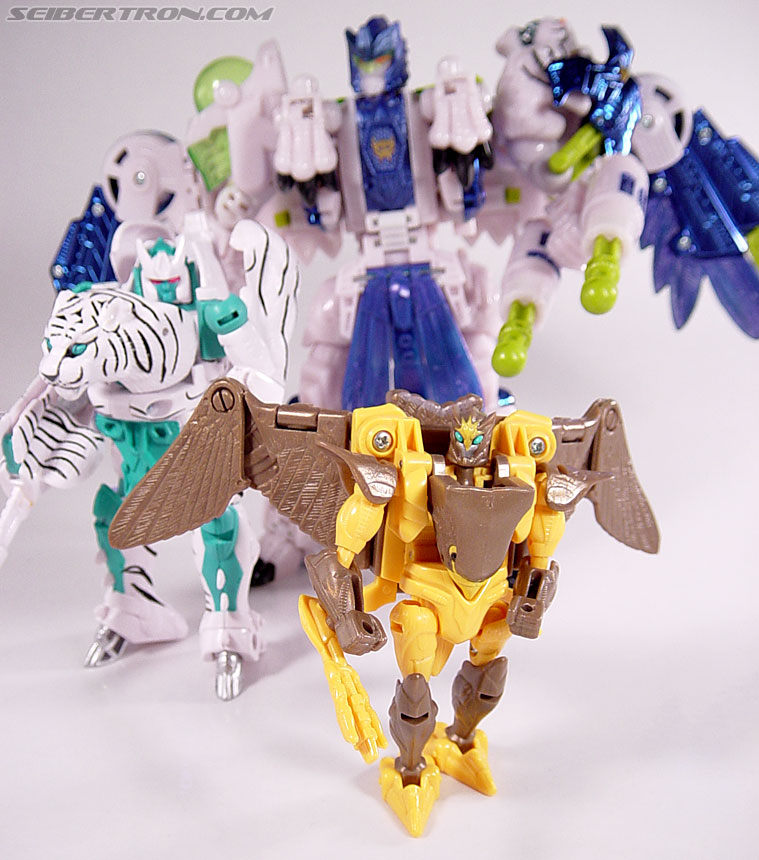 Transformers Beast Wars Airazor (Image #97 of 99)