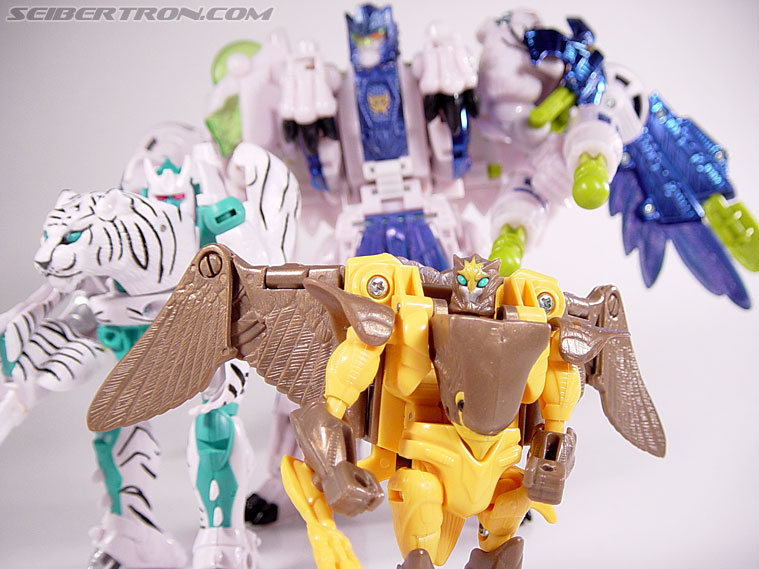 Transformers Beast Wars Airazor (Image #99 of 99)