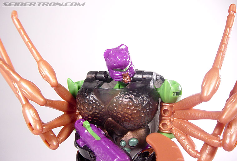 Transformers Beast Wars Blackarachnia (Black Widow) (Image #58 of 79)