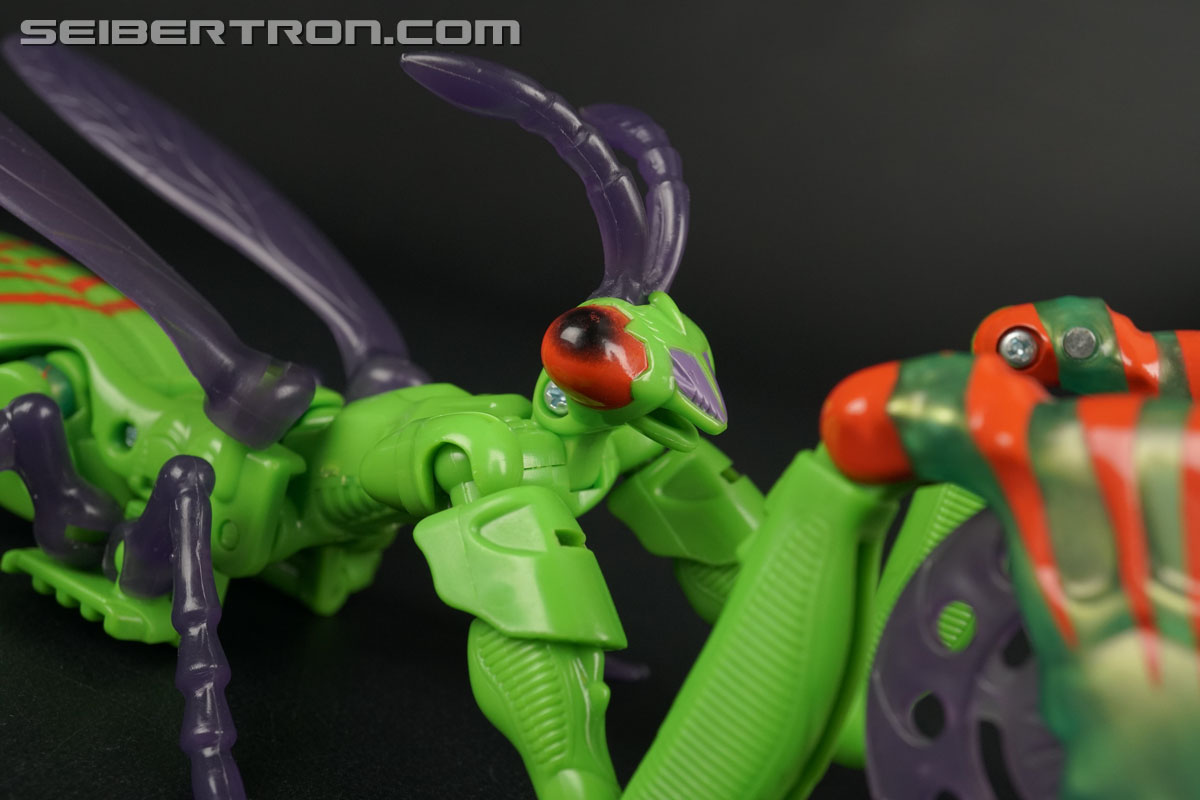 Transformers Beast Wars Manterror (Mantis) (Image #7 of 84)