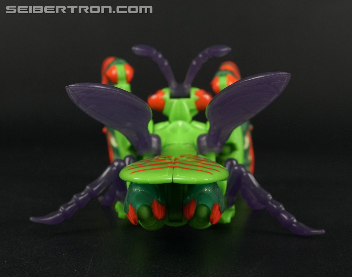 Transformers Beast Wars Manterror (Mantis) (Image #14 of 84)