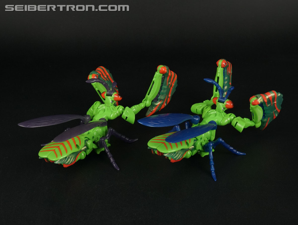 Transformers Beast Wars Manterror (Mantis) (Image #31 of 84)