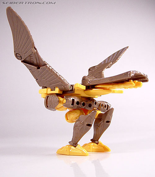 Transformers Beast Wars Airazor (Image #22 of 99)