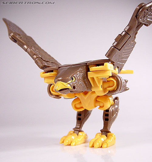 Transformers Beast Wars Airazor (Image #25 of 99)