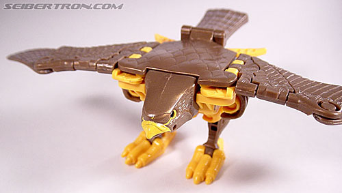 Transformers Beast Wars Airazor (Image #28 of 99)