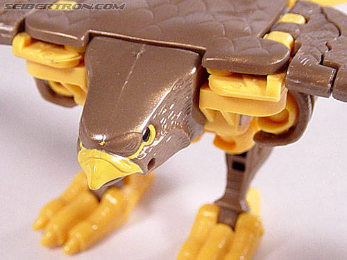 Transformers Beast Wars Airazor (Image #29 of 99)