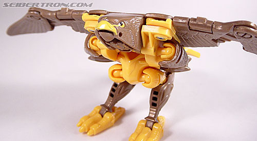 Transformers Beast Wars Airazor (Image #30 of 99)