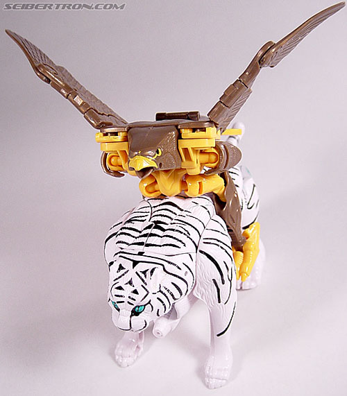 Transformers Beast Wars Airazor (Image #41 of 99)