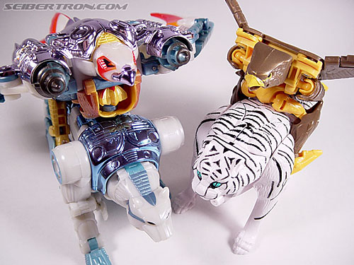 Transformers Beast Wars Airazor (Image #51 of 99)