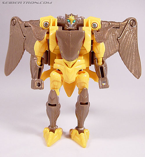 Transformers Beast Wars Airazor (Image #60 of 99)