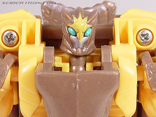 Transformers Beast Wars Airazor (Image #62 of 99)