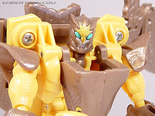 Transformers Beast Wars Airazor (Image #80 of 99)