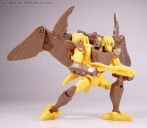 Transformers Beast Wars Airazor (Image #81 of 99)