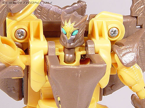 Transformers Beast Wars Airazor (Image #84 of 99)