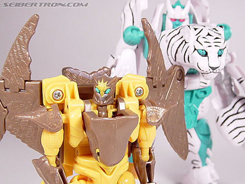Transformers Beast Wars Airazor (Image #89 of 99)