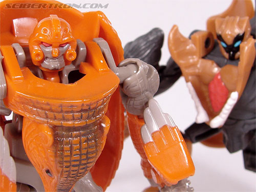 Transformers Beast Wars Armordillo (Armor) (Image #67 of 68)