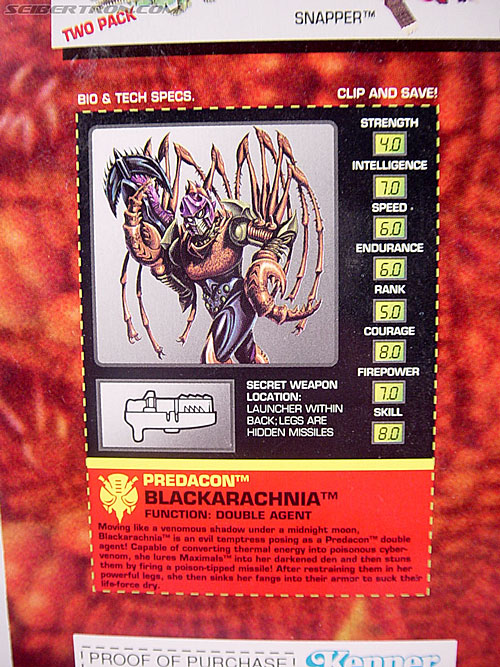 Transformers Beast Wars Blackarachnia (Black Widow) (Image #7 of 79)