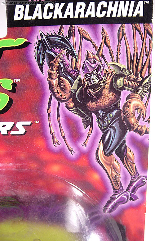 Transformers Beast Wars Blackarachnia (Black Widow) (Image #10 of 79)