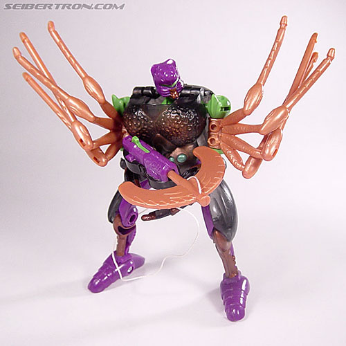 Transformers Beast Wars Blackarachnia (Black Widow) (Image #57 of 79)