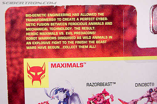 Transformers Beast Wars Buzz Saw (Image #10 of 102)