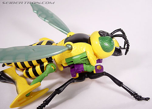 Transformers Beast Wars Buzz Saw (Image #20 of 102)