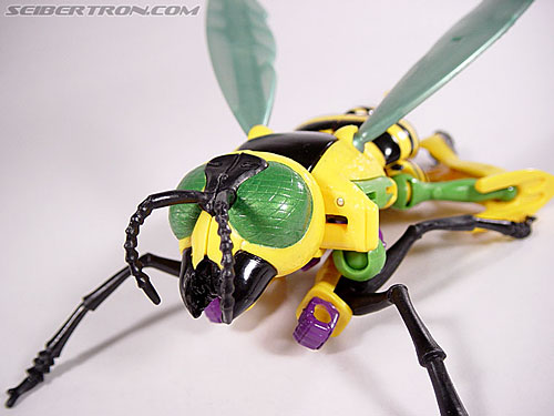 Transformers Beast Wars Buzz Saw (Image #31 of 102)