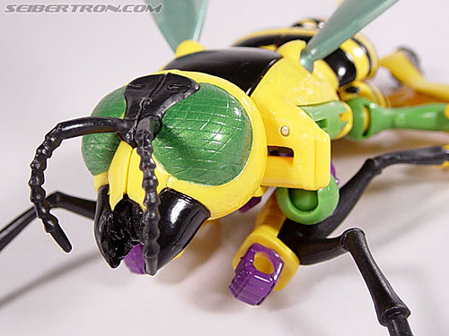 Transformers Beast Wars Buzz Saw (Image #32 of 102)