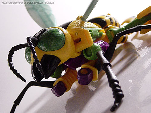 Transformers Beast Wars Buzz Saw (Image #41 of 102)