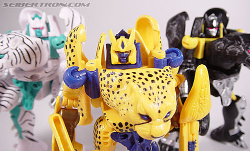 Transformers Beast Wars Cheetor (Chiitas) (Image #73 of 91)