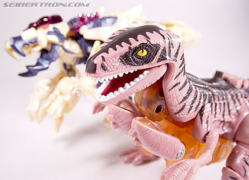 Transformers Beast Wars Dinobot (Image #36 of 121)