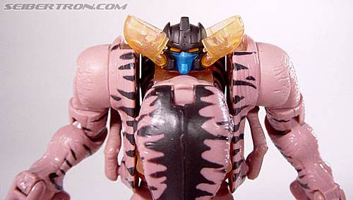 Transformers Beast Wars Dinobot (Image #39 of 121)