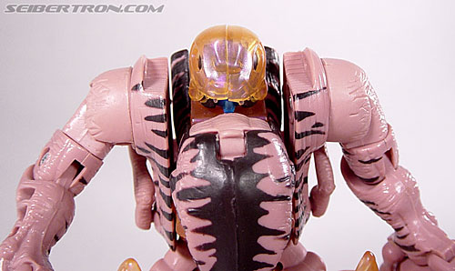 Transformers Beast Wars Dinobot (Image #67 of 121)