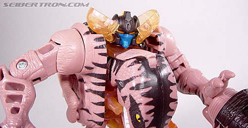 Transformers Beast Wars Dinobot (Image #82 of 121)