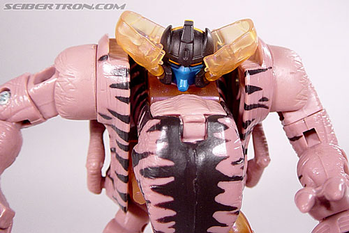 Transformers Beast Wars Dinobot (Image #84 of 121)