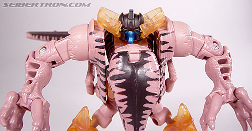 Transformers Beast Wars Dinobot (Image #96 of 121)