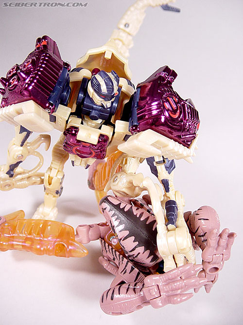 Transformers Beast Wars Dinobot (Image #105 of 121)
