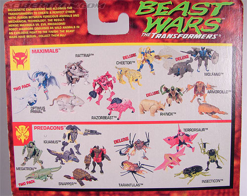 Transformers Beast Wars Insecticon (Image #7 of 76)