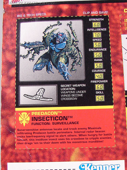 Transformers Beast Wars Insecticon (Image #10 of 76)