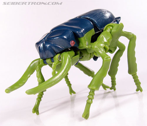 Transformers Beast Wars Insecticon (Image #28 of 76)