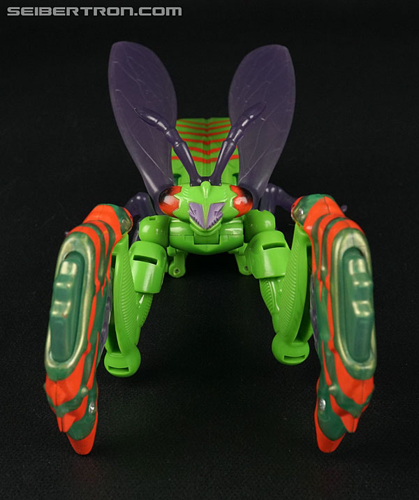 Transformers Beast Wars Manterror (Mantis) (Image #2 of 84)