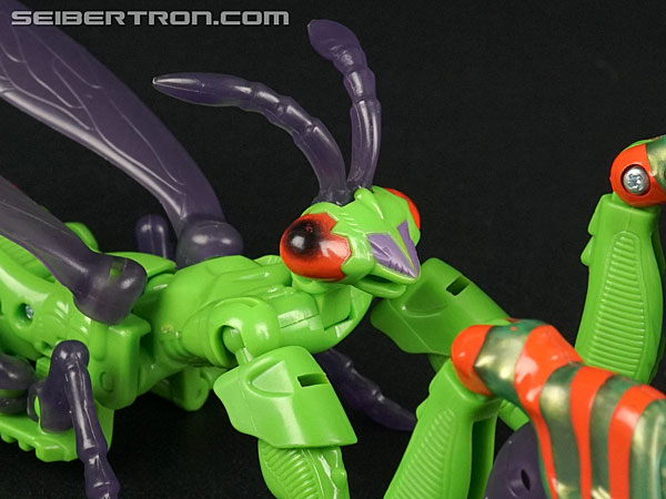 Transformers Beast Wars Manterror (Mantis) (Image #5 of 84)