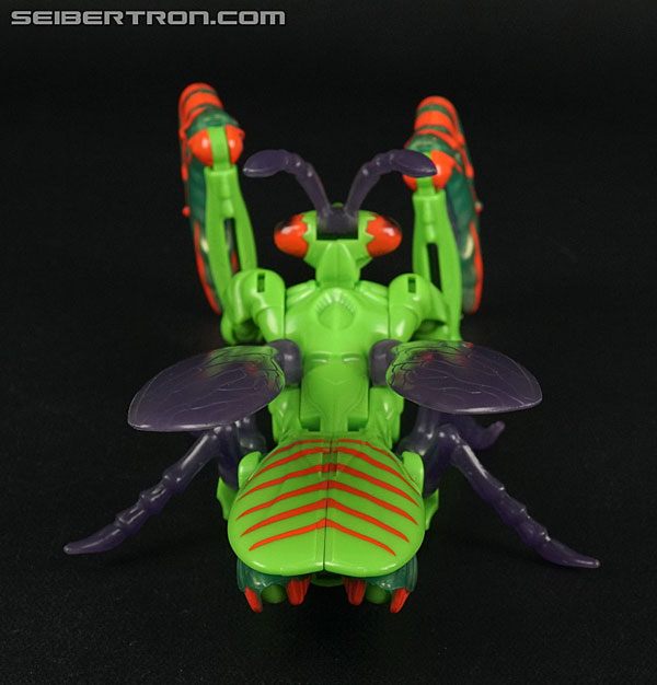 Transformers Beast Wars Manterror (Mantis) (Image #13 of 84)