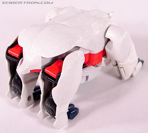 Transformers Beast Wars Polar Claw (White Claw) (Image #26 of 98)