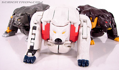Transformers Beast Wars Polar Claw (White Claw) (Image #36 of 98)