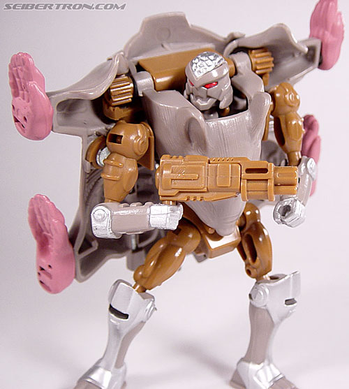 Transformers Beast Wars Rattrap (Rattle) (Image #74 of 105)