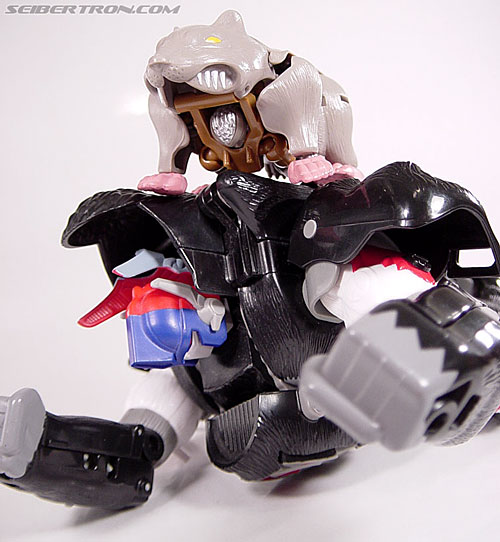 Transformers Beast Wars Rattrap (Rattle) (Image #92 of 105)