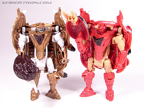 Transformers Beast Wars Razorbeast (Randy) (Image #56 of 64)