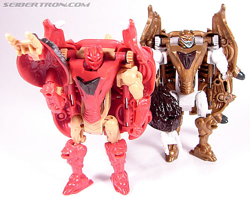 Transformers Beast Wars Razorbeast (Randy) (Image #57 of 64)
