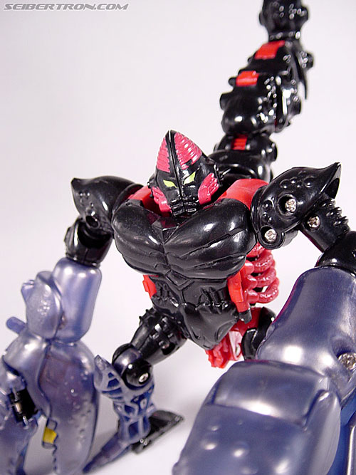 Transformers Beast Wars Scorponok (Scorpos) (Image #45 of 123)