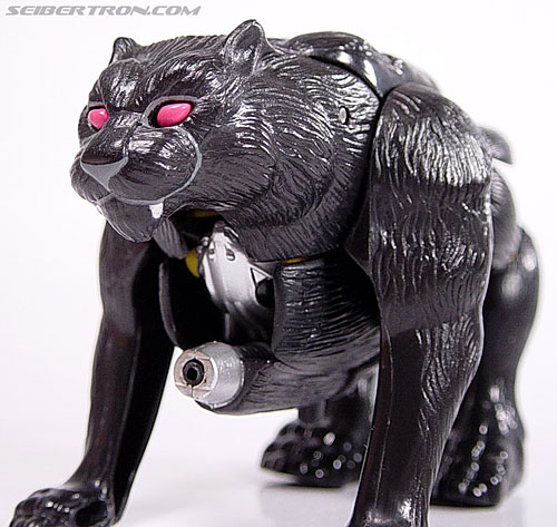 transformers beast wars shadow panther